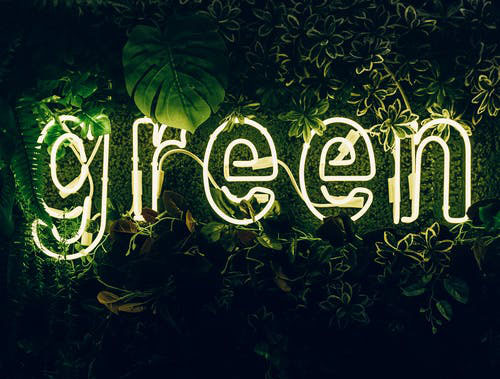 green light that says green against plants