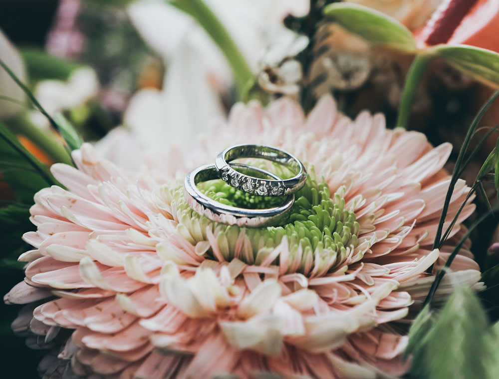 sterling silver rings on a peach flower